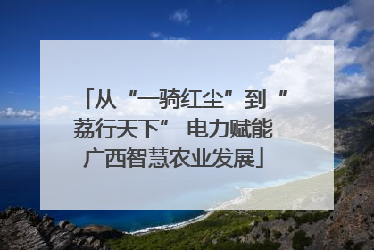 从“一骑红尘”到“荔行天下” 电力赋能广西智慧农业发展