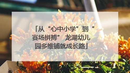 从“心中小学”到“赛场拼搏” 龙湖幼儿园多维铺就成长路