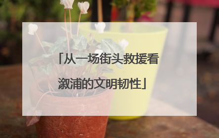 从一场街头救援看溆浦的文明韧性