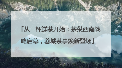 从一杯鲜茶开始：茶巢西南战略启幕，蓉城茶事焕新登场