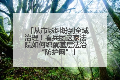 从市场纠纷到全域治理！看兵团这家法院如何织就基层法治 “防护网”
