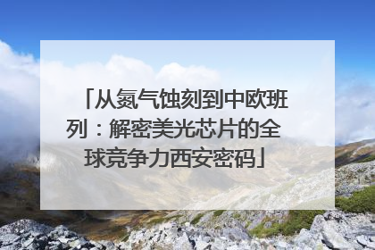 从氮气蚀刻到中欧班列：解密美光芯片的全球竞争力西安密码