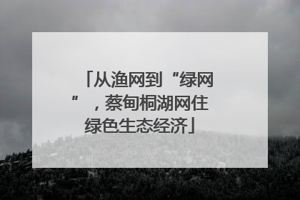 从渔网到“绿网”，蔡甸桐湖网住绿色生态经济