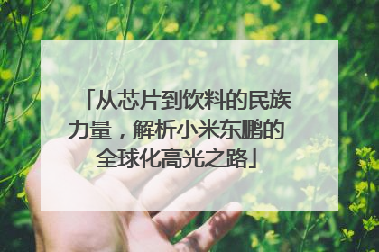 从芯片到饮料的民族力量，解析小米东鹏的全球化高光之路