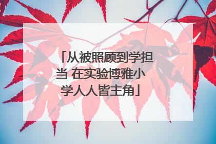 从被照顾到学担当 在实验博雅小学人人皆主角