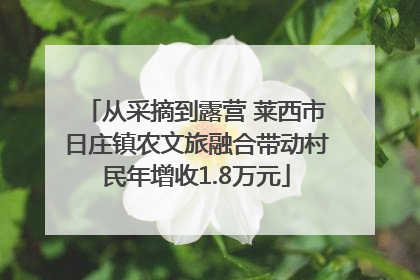 从采摘到露营 莱西市日庄镇农文旅融合带动村民年增收1.8万元