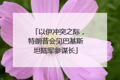 以伊冲突之际，特朗普会见巴基斯坦陆军参谋长