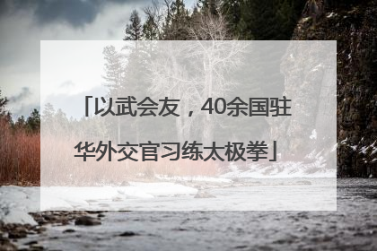以武会友，40余国驻华外交官习练太极拳