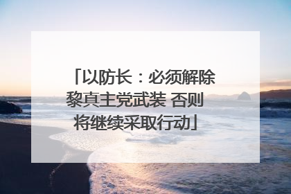 以防长：必须解除黎真主党武装 否则将继续采取行动
