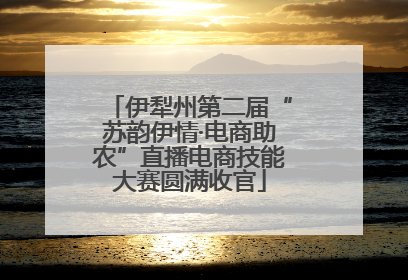 伊犁州第二届“苏韵伊情·电商助农”直播电商技能大赛圆满收官