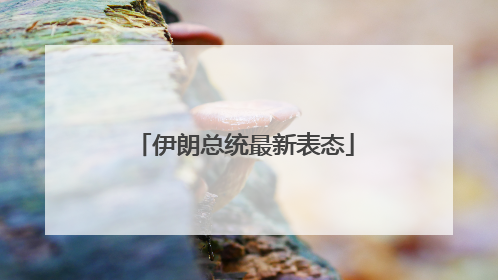 伊朗总统最新表态