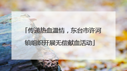 传递热血温情，东台市许河镇组织开展无偿献血活动