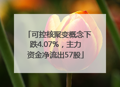 可控核聚变概念下跌4.07%，主力资金净流出57股