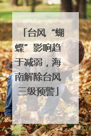 台风“蝴蝶”影响趋于减弱，海南解除台风三级预警