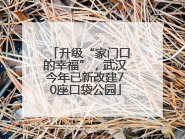 升级“家门口的幸福”，武汉今年已新改建70座口袋公园