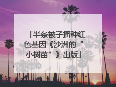 半条被子播种红色基因《沙洲的“小树苗”》出版