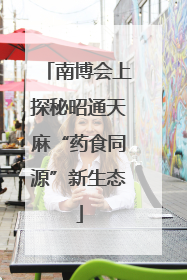 南博会上探秘昭通天麻“药食同源”新生态