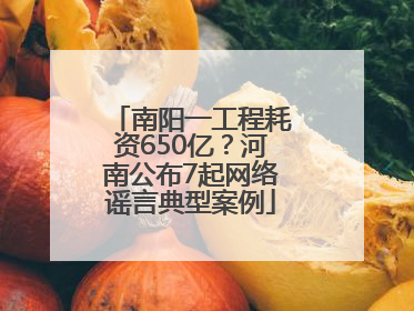 南阳一工程耗资650亿？河南公布7起网络谣言典型案例
