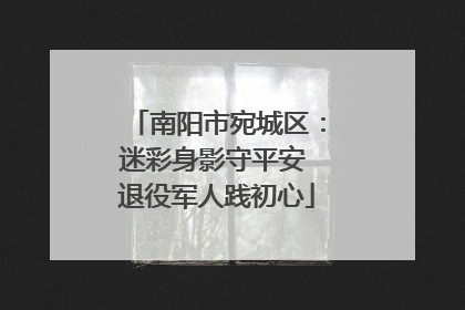 南阳市宛城区：迷彩身影守平安 退役军人践初心