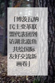 博茨瓦纳民主变革联盟代表团到访湖北嘉鱼 共绘国际友好交流新画卷