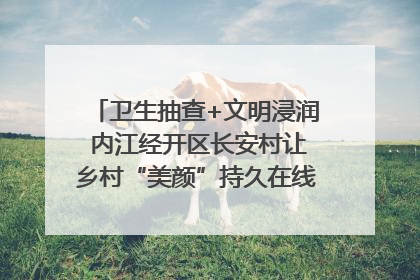 卫生抽查+文明浸润 内江经开区长安村让乡村“美颜”持久在线｜万千气象看四川