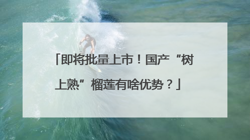 即将批量上市！国产“树上熟”榴莲有啥优势？