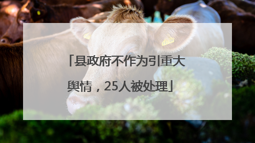 县政府不作为引重大舆情，25人被处理