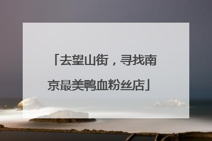 去望山街，寻找南京最美鸭血粉丝店