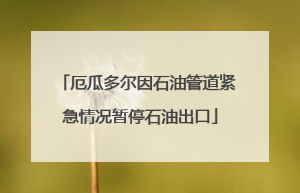 厄瓜多尔因石油管道紧急情况暂停石油出口
