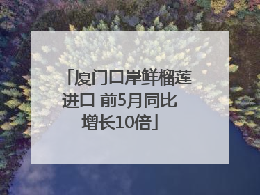 厦门口岸鲜榴莲进口 前5月同比增长10倍
