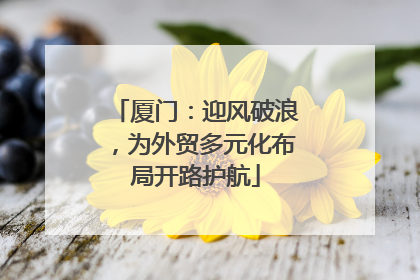 厦门：迎风破浪，为外贸多元化布局开路护航