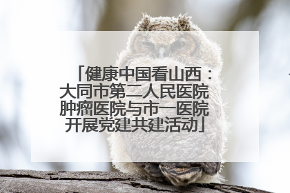 健康中国看山西：大同市第二人民医院肿瘤医院与市一医院开展党建共建活动