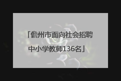 儋州市面向社会招聘中小学教师136名