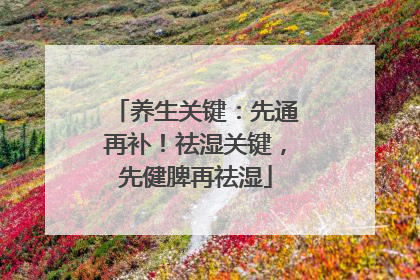 养生关键：先通再补！祛湿关键，先健脾再祛湿