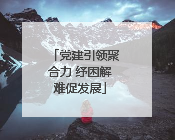 党建引领聚合力 纾困解难促发展