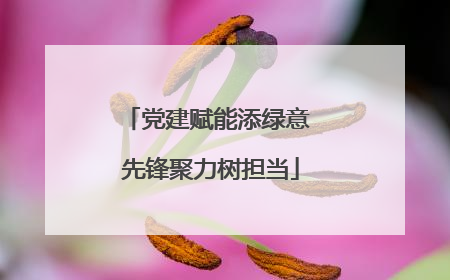 党建赋能添绿意 先锋聚力树担当