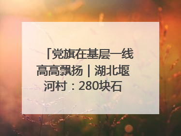 党旗在基层一线高高飘扬｜湖北堰河村：280块石头铺平“穷山沟”的致富振兴路