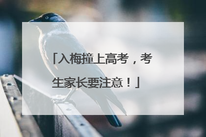 入梅撞上高考，考生家长要注意！
