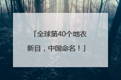 全球第40个地衣新目，中国命名！
