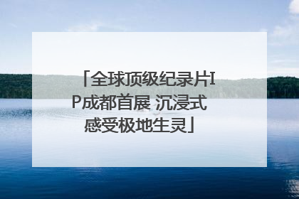 全球顶级纪录片IP成都首展 沉浸式感受极地生灵