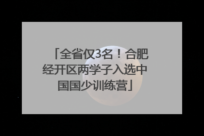 全省仅3名！合肥经开区两学子入选中国国少训练营