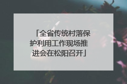 全省传统村落保护利用工作现场推进会在松阳召开