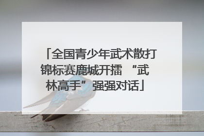 全国青少年武术散打锦标赛鹿城开擂 “武林高手”强强对话
