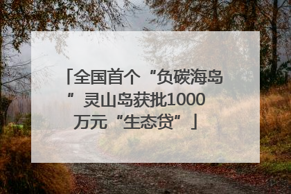全国首个“负碳海岛”灵山岛获批1000万元“生态贷”