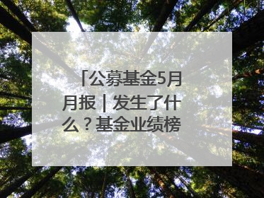 公募基金5月月报｜发生了什么？基金业绩榜变化这么大！