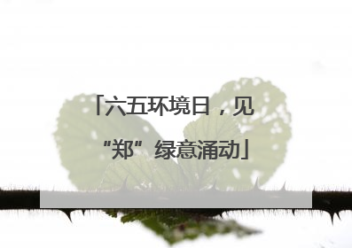 六五环境日，见“郑”绿意涌动