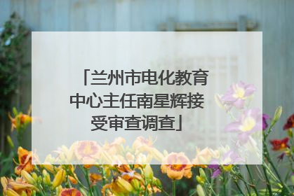 兰州市电化教育中心主任南星辉接受审查调查