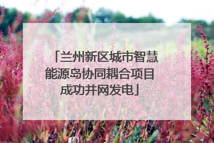 兰州新区城市智慧能源岛协同耦合项目成功并网发电