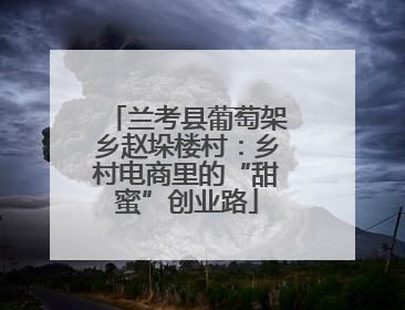 兰考县葡萄架乡赵垛楼村：乡村电商里的“甜蜜”创业路