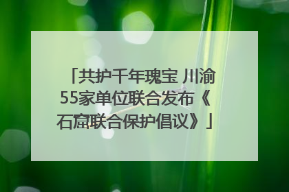 共护千年瑰宝 川渝55家单位联合发布《石窟联合保护倡议》